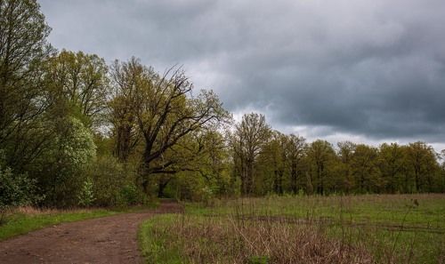 Природа Кулебакского края