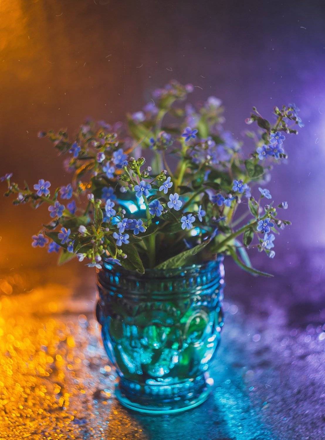 боке, натюрморт, фиолетовый, цветы, бутылка, стекло, красивый, прозрачный, блики, still life, Алла Семенова