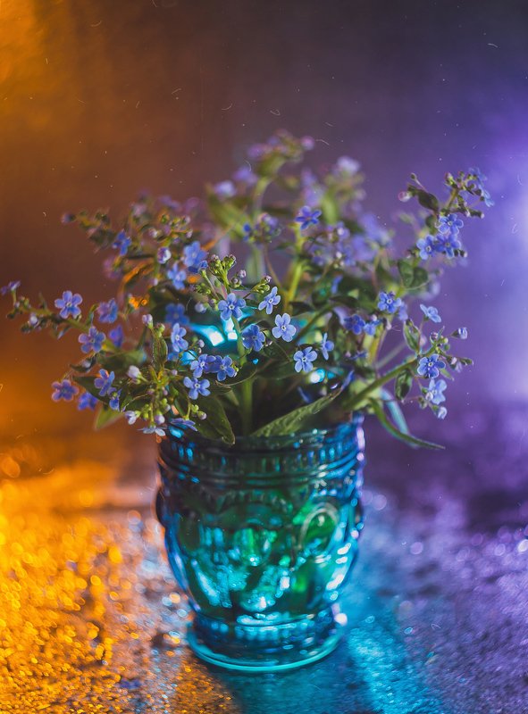 боке, натюрморт, фиолетовый, цветы, бутылка, стекло, красивый, прозрачный, блики, still life Цветные сны фото превью