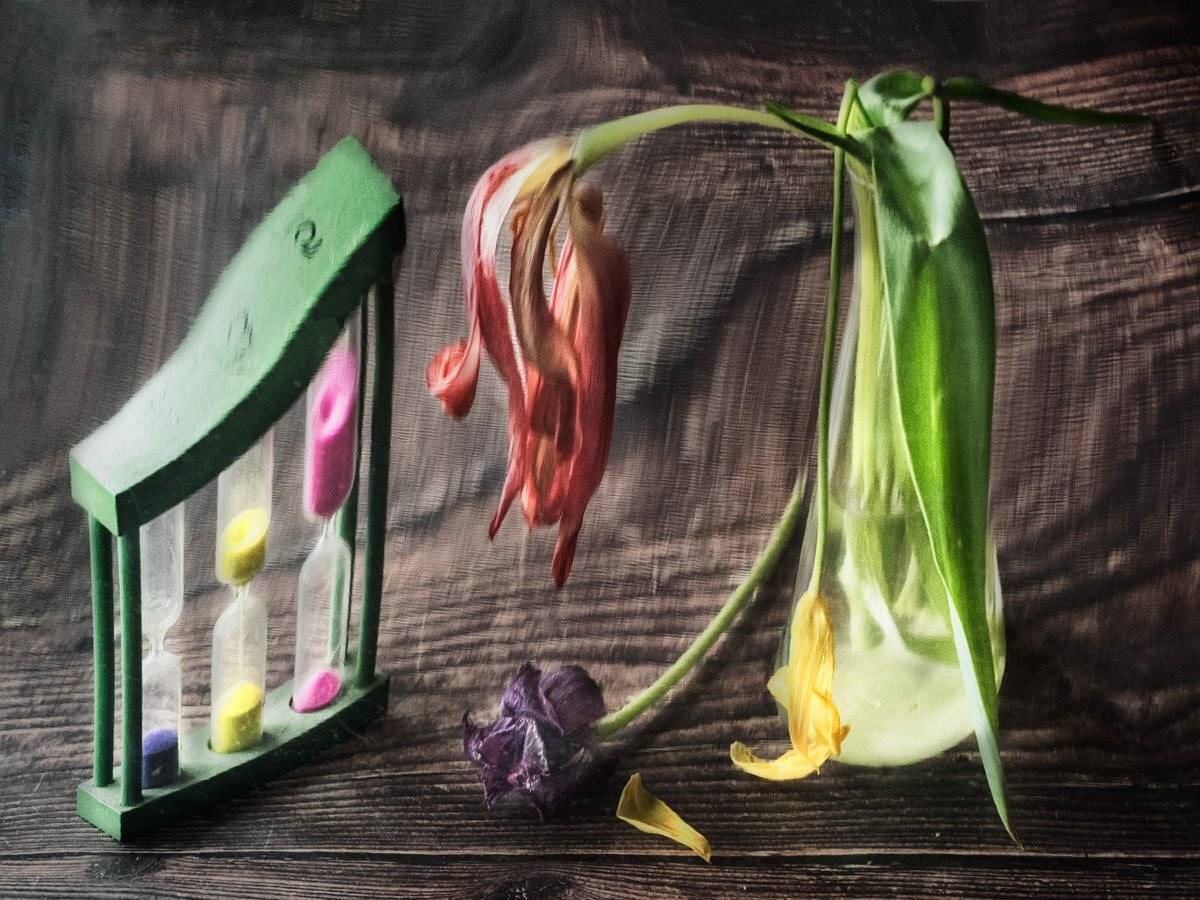 , Татьяна Аверина