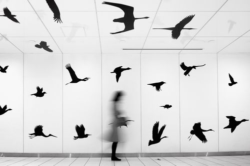 Yancho Sabev