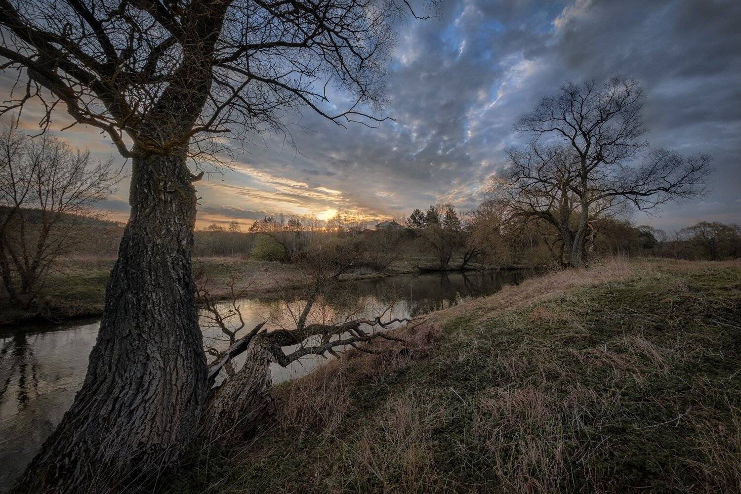истра, река, деревья, пейзаж, рассвет, небо, весна, утро, Андрей Чиж