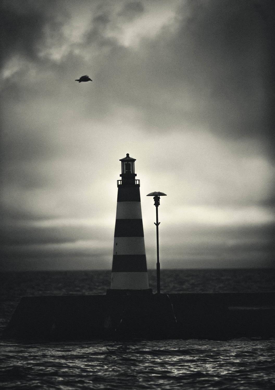 , Artur Politov