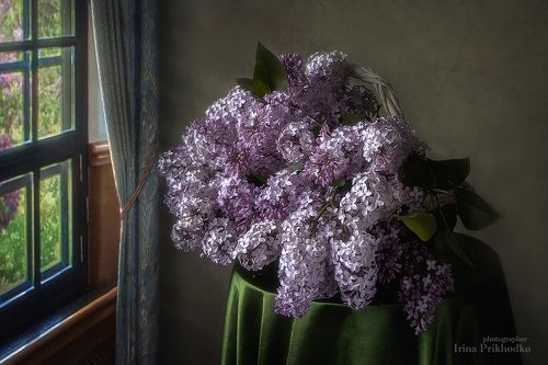 Майский натюрморт