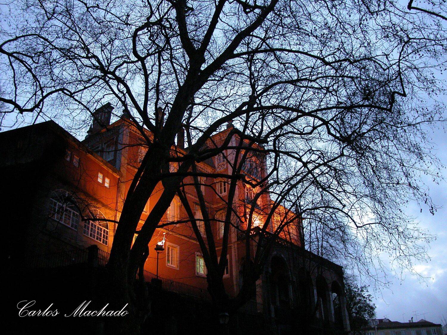City/Architecture, Landscapes, Street/Reportage, Carlos Machado