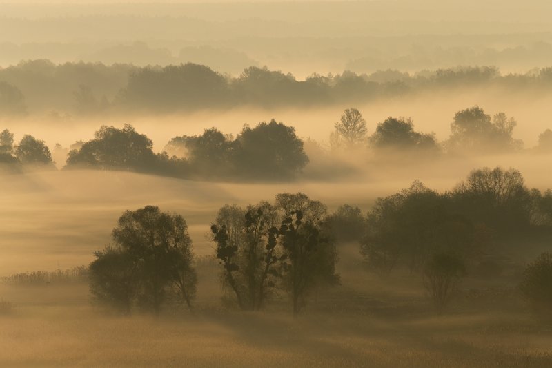 . . . фото превью