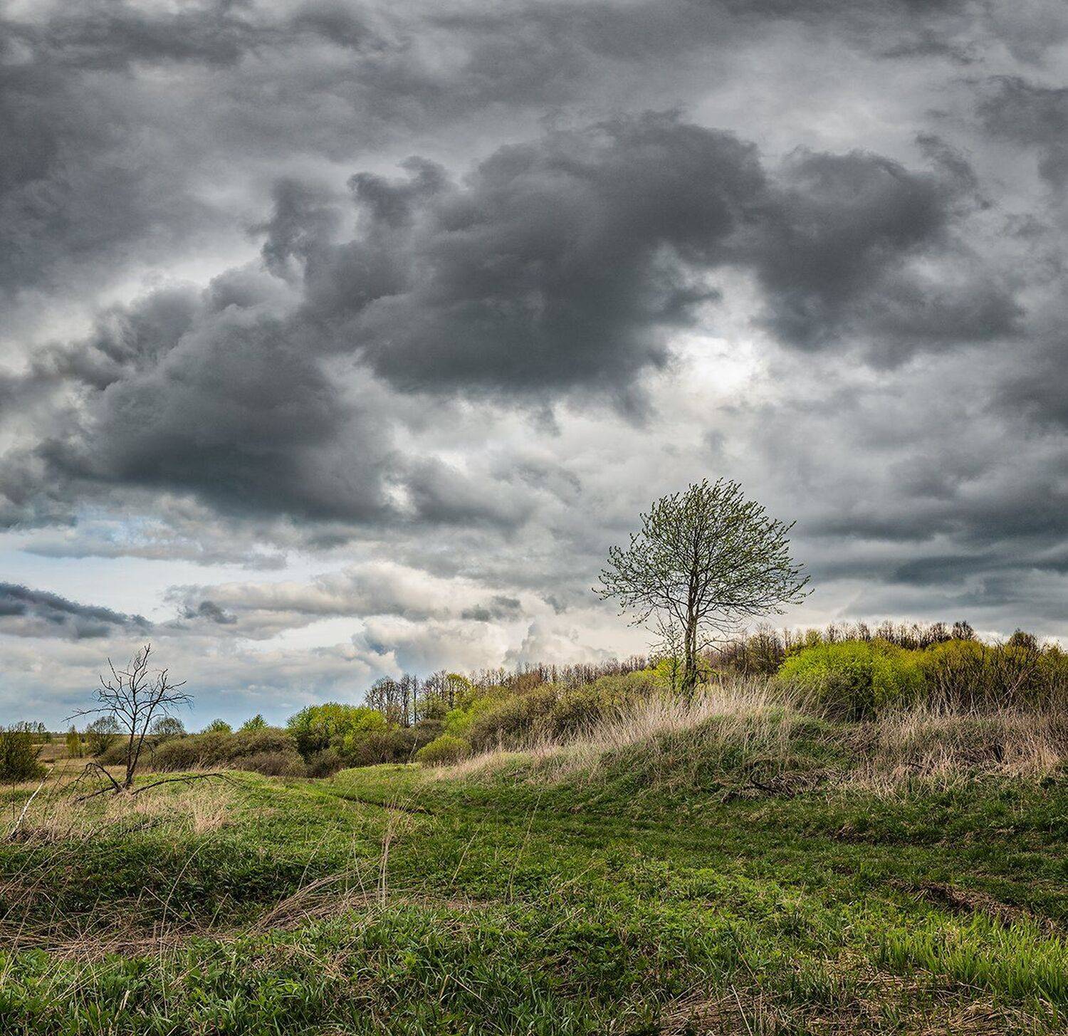 , Николай Андреев
