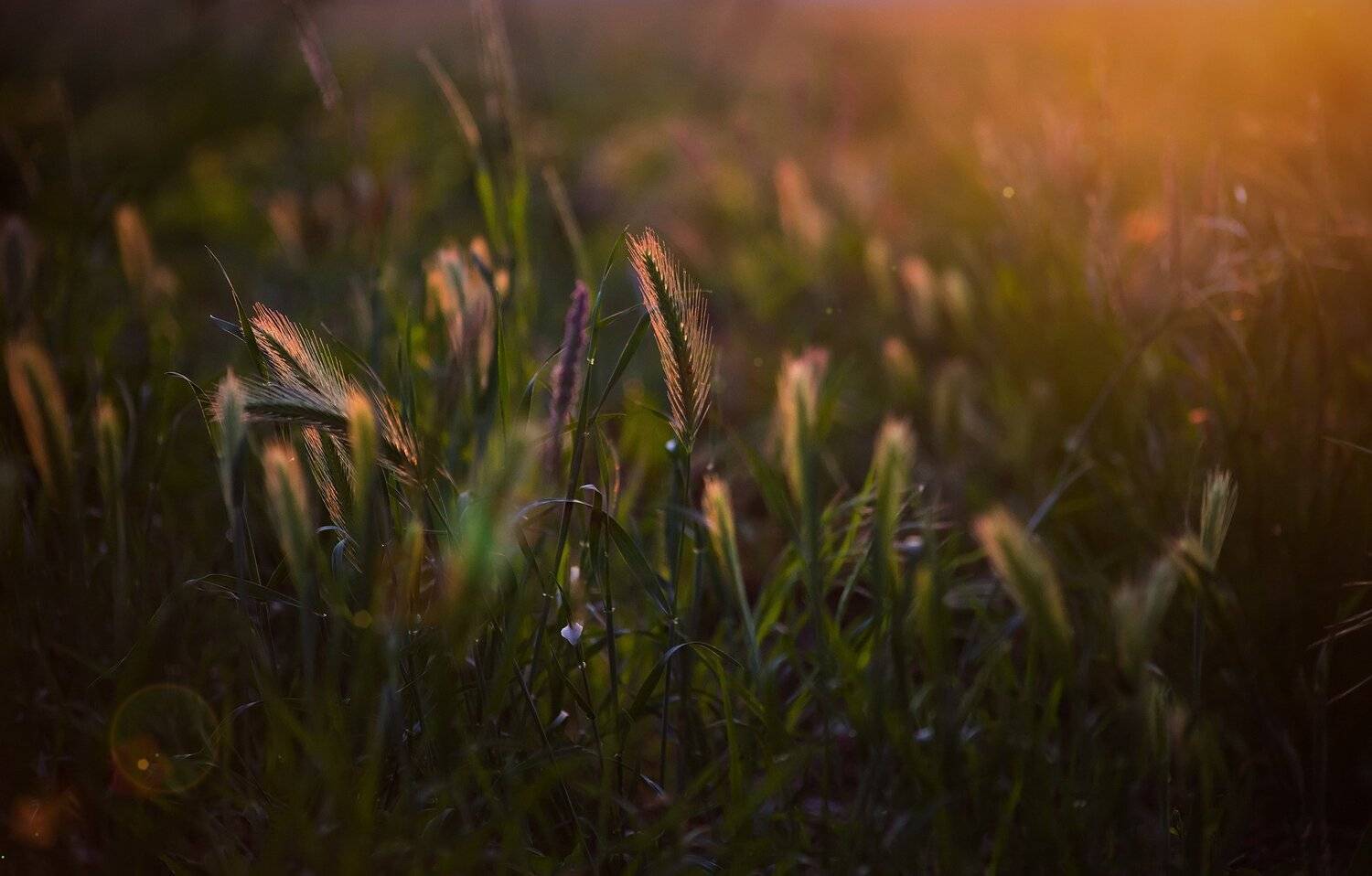 , Павел Сагайдак