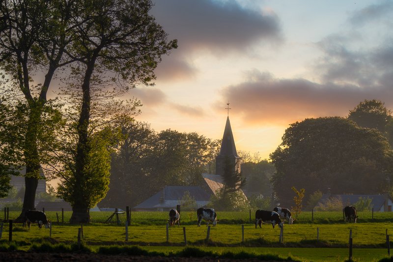 chruch; landscape;sunset; normandy; chapel; village;cows La chapelle du horsain фото превью