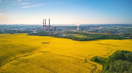 Рапсово-урбанистический пейзаж