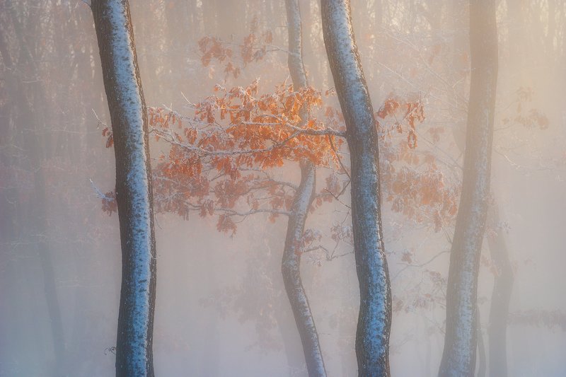 Thin air фото превью