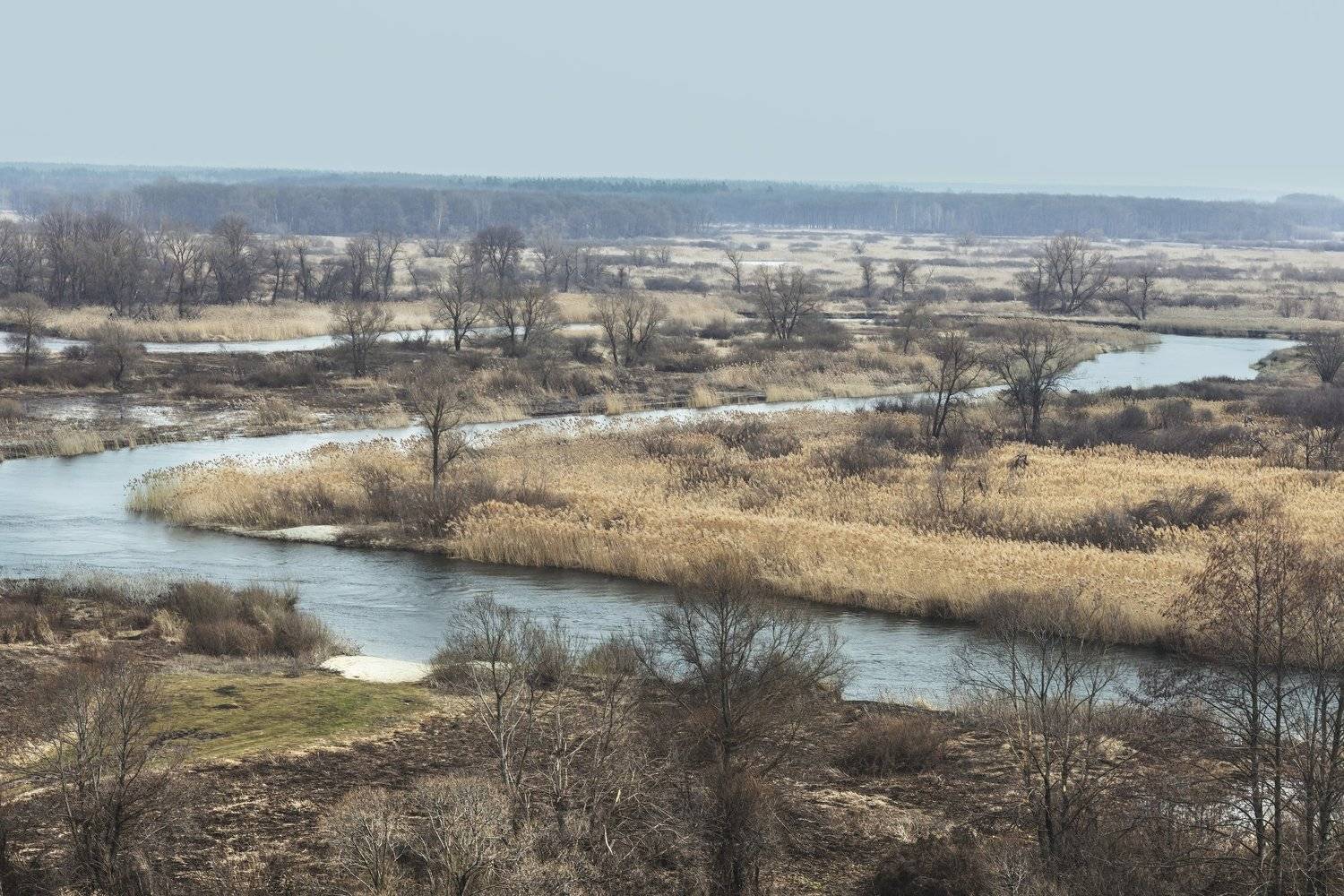 , Андрей Ляпин
