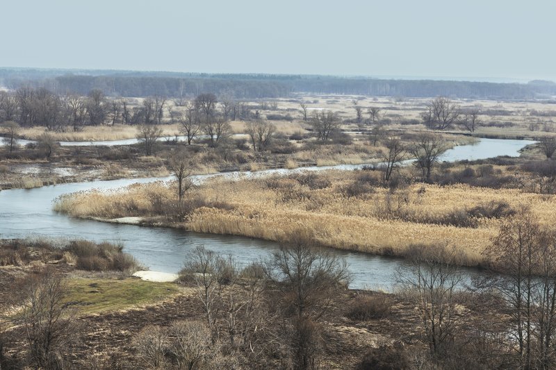Ранняя весна. фото превью