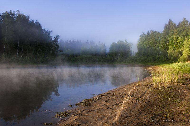утро, рассвет, пейзаж, московская область Утро фото превью