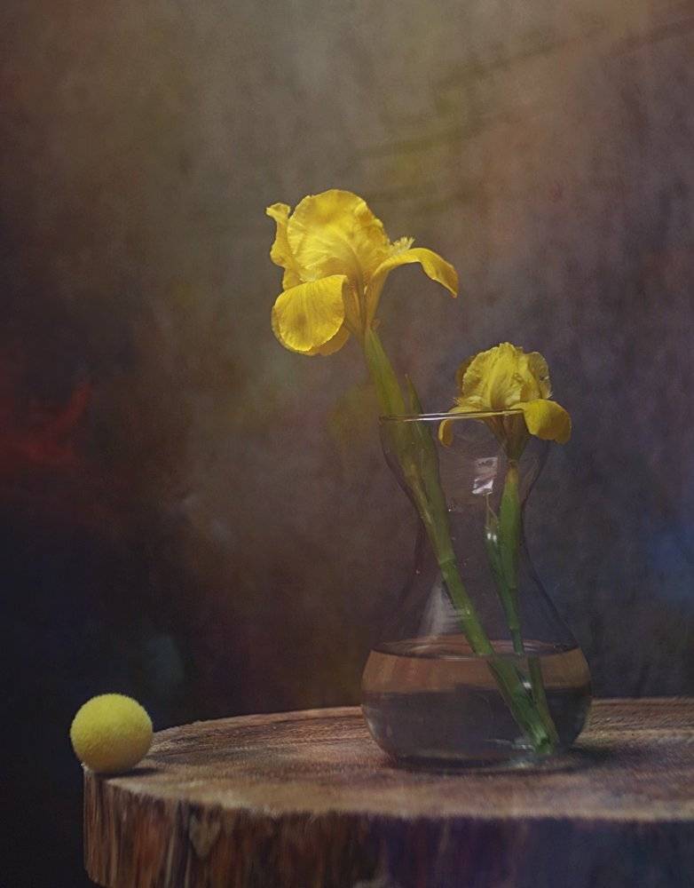 martwa  natura, wiosna, bukiet, irysy,, Ela Drzazga