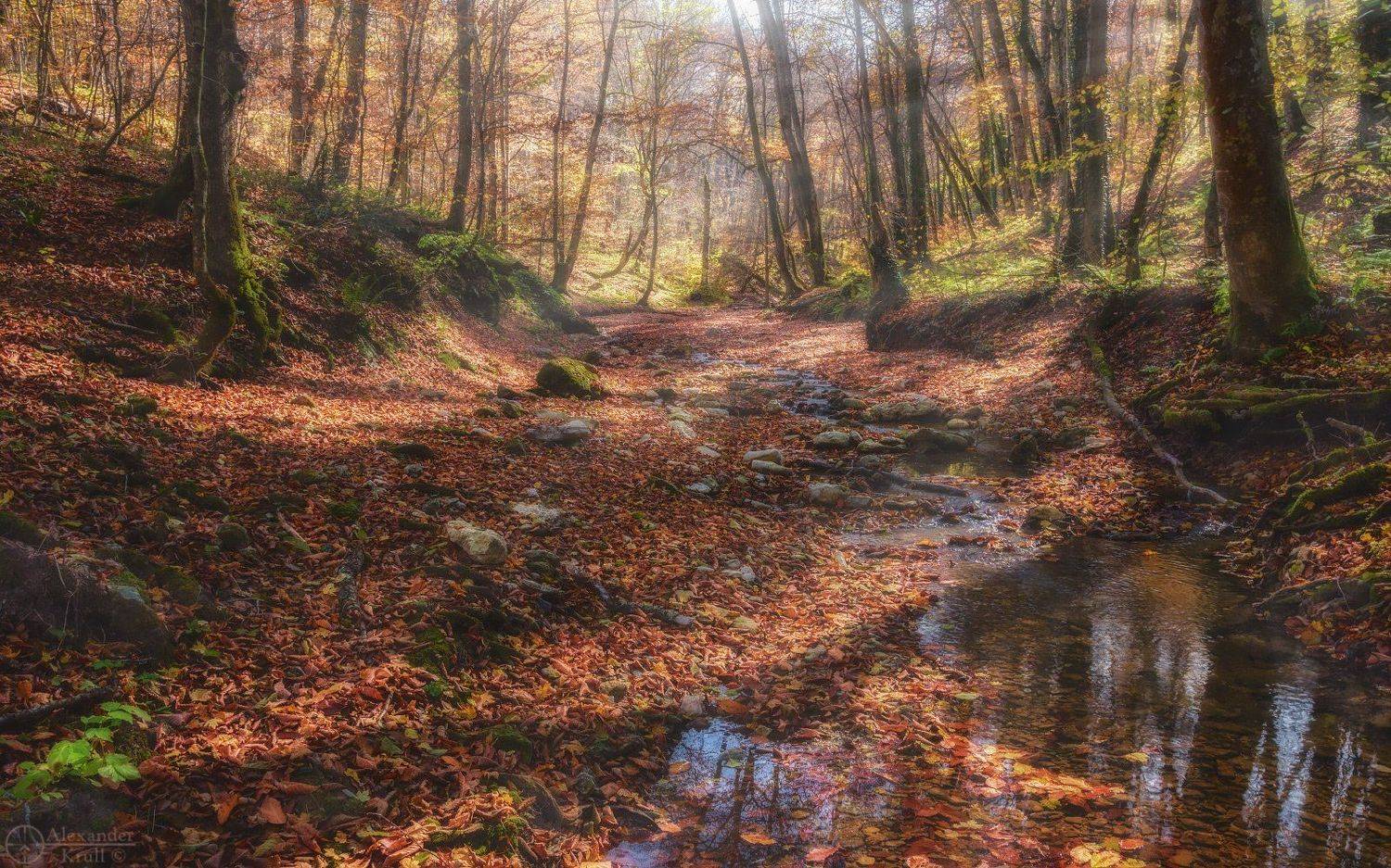 , Александр Круль