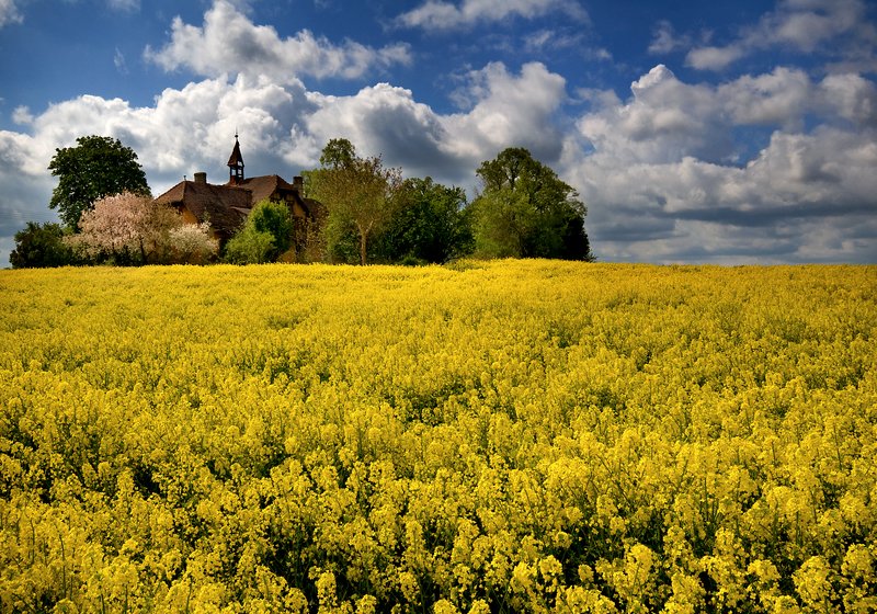 among fields... фото превью