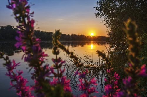 Вечерний Дон