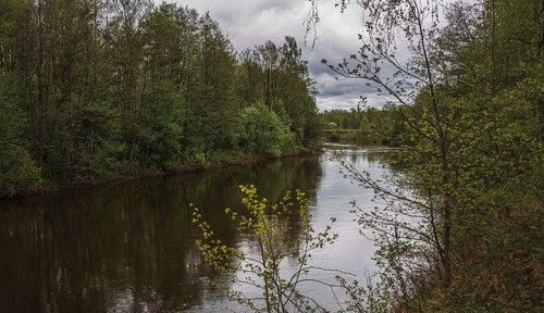 На речке Теша...Природа Кулебакского края