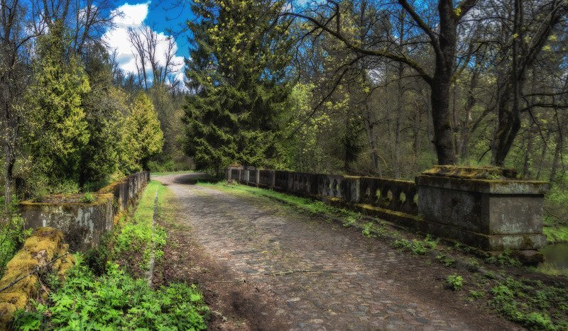 Олений мост. фото превью