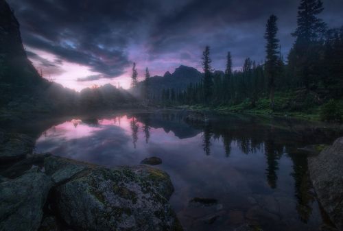 Таежный глаз