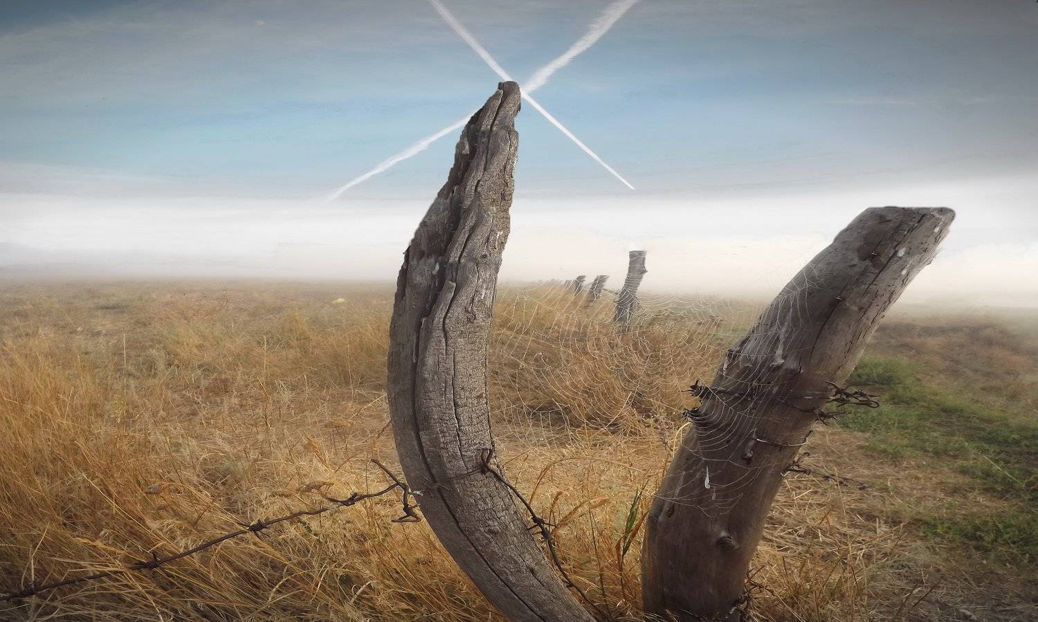 одесса, Сергей Кошелев