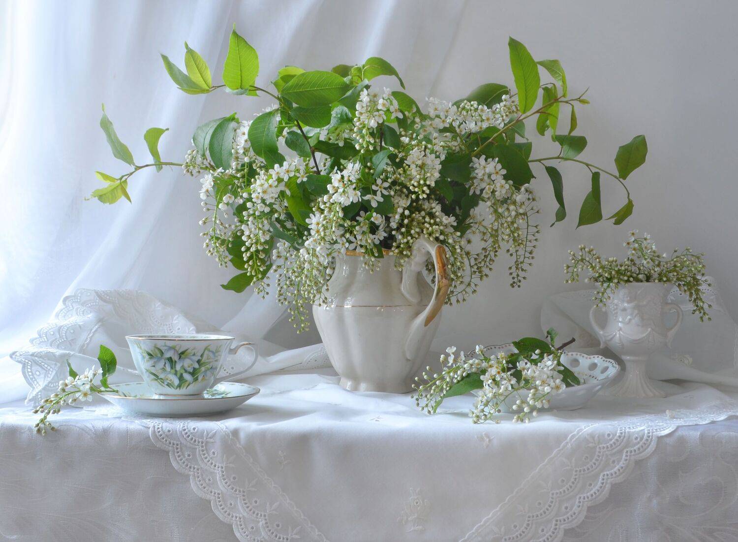still life, натюрморт,черёмуха, весна, май,фото натюрморт, стихи, фарфор, настроение, Колова Валентина
