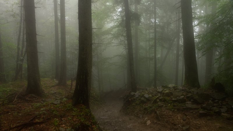 . . . фото превью