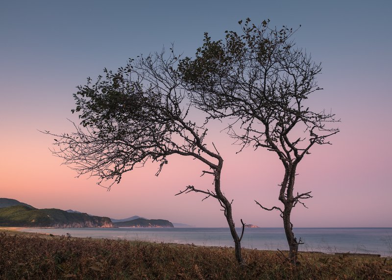 Two Sisters фото превью