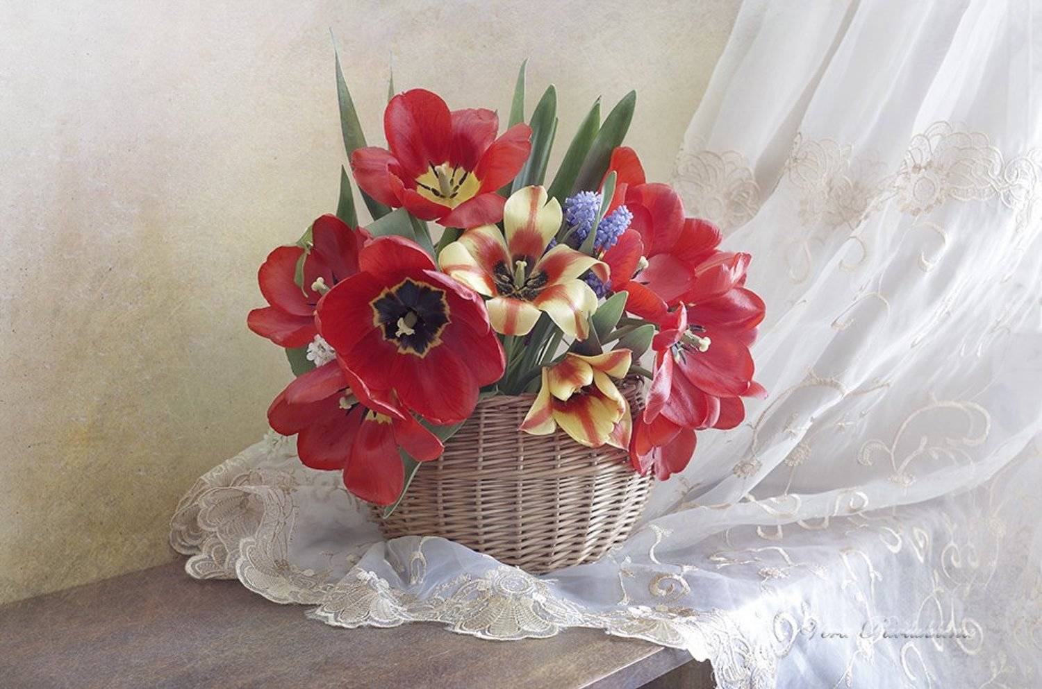 натюрморт,тюльпаны,весна,вера павлухина,, Вера  Павлухина