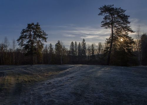 Майский иней