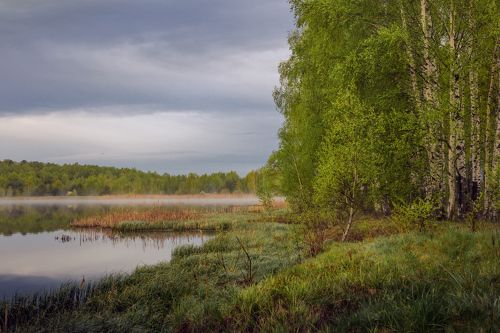 Утро, когда плотва нерестится