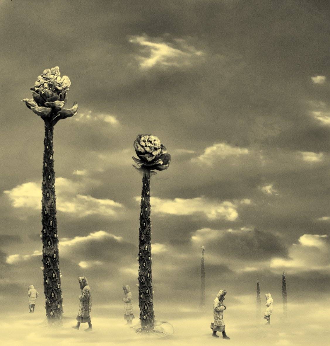 Неприкаянная душа. Автор: T. Bondarenko , T. Bondarenko