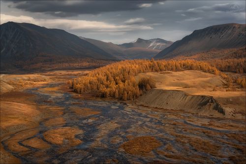 Алтайские сюжеты