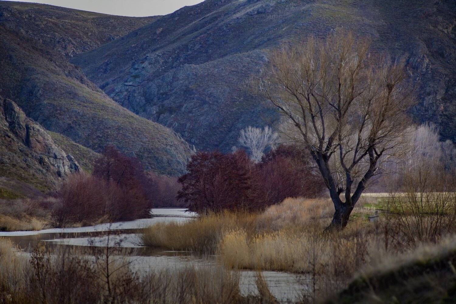 , петр чиков