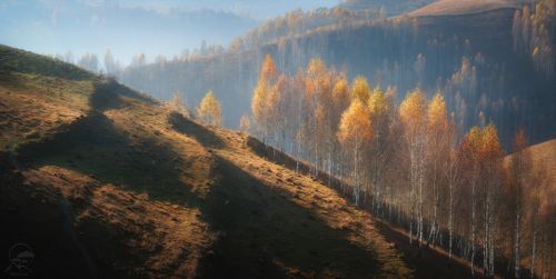 Мотивы румынской осени