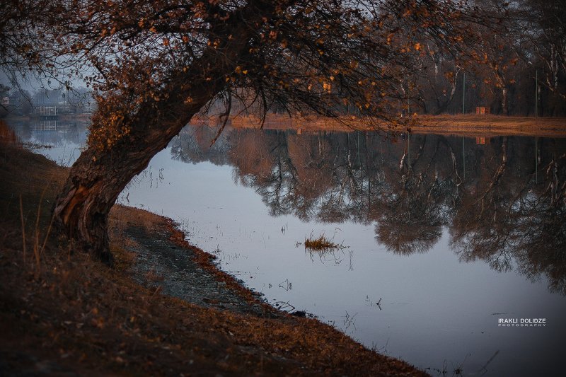 park, walking, alone, outside, landscape, evening, sunset, lake, relax, calm Walking in park фото превью