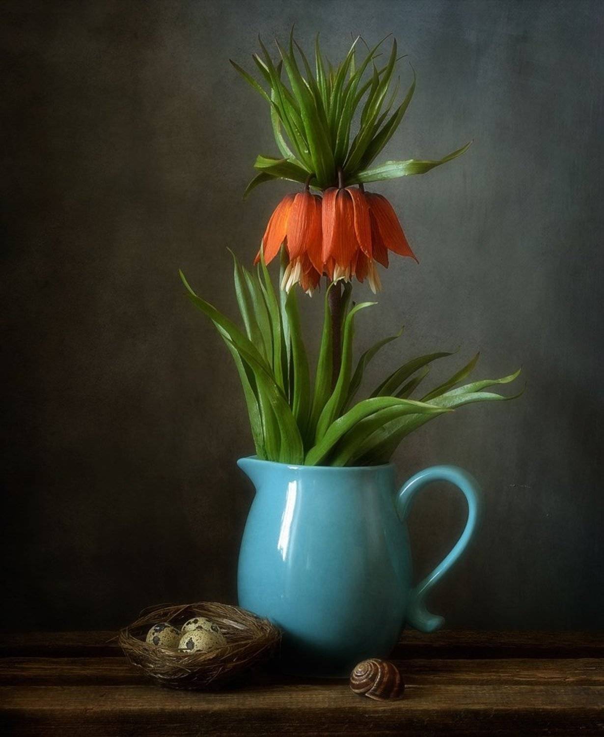 натюрморт,рябчик,цветы,весна,fritillaria imperialis,  Наталия К