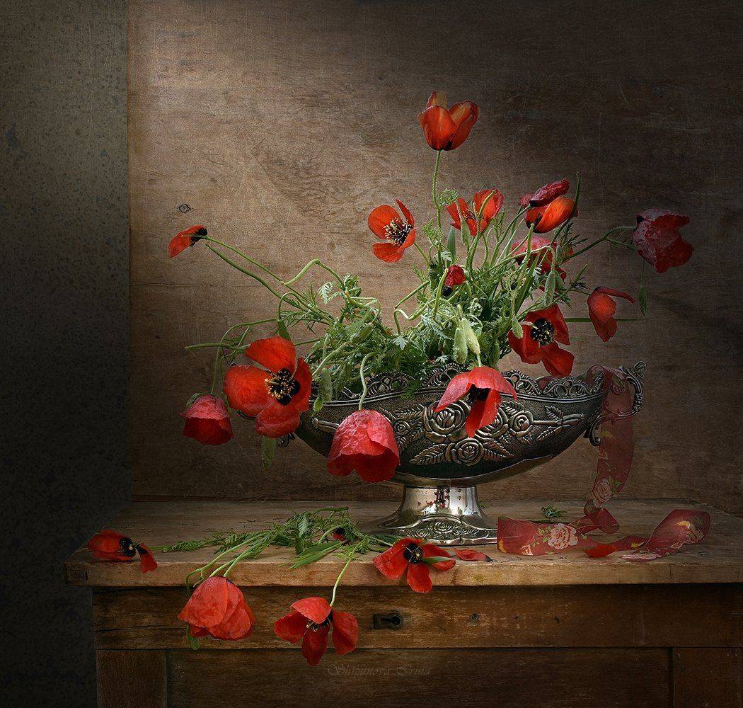 , Шипунова Ирина