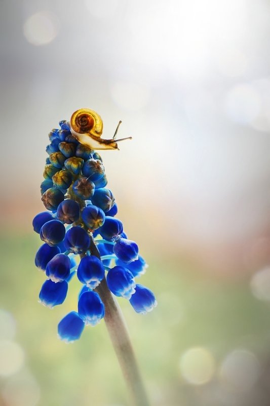 кроха фото превью