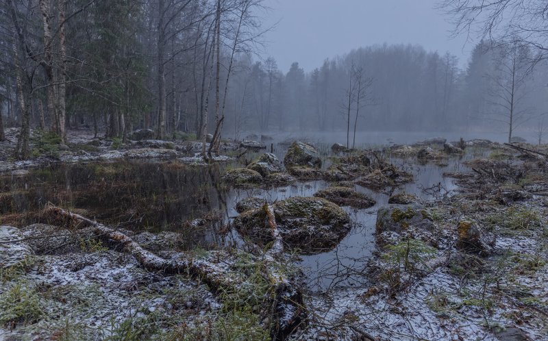 майский снег фото превью