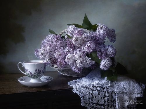 Майские сумерки