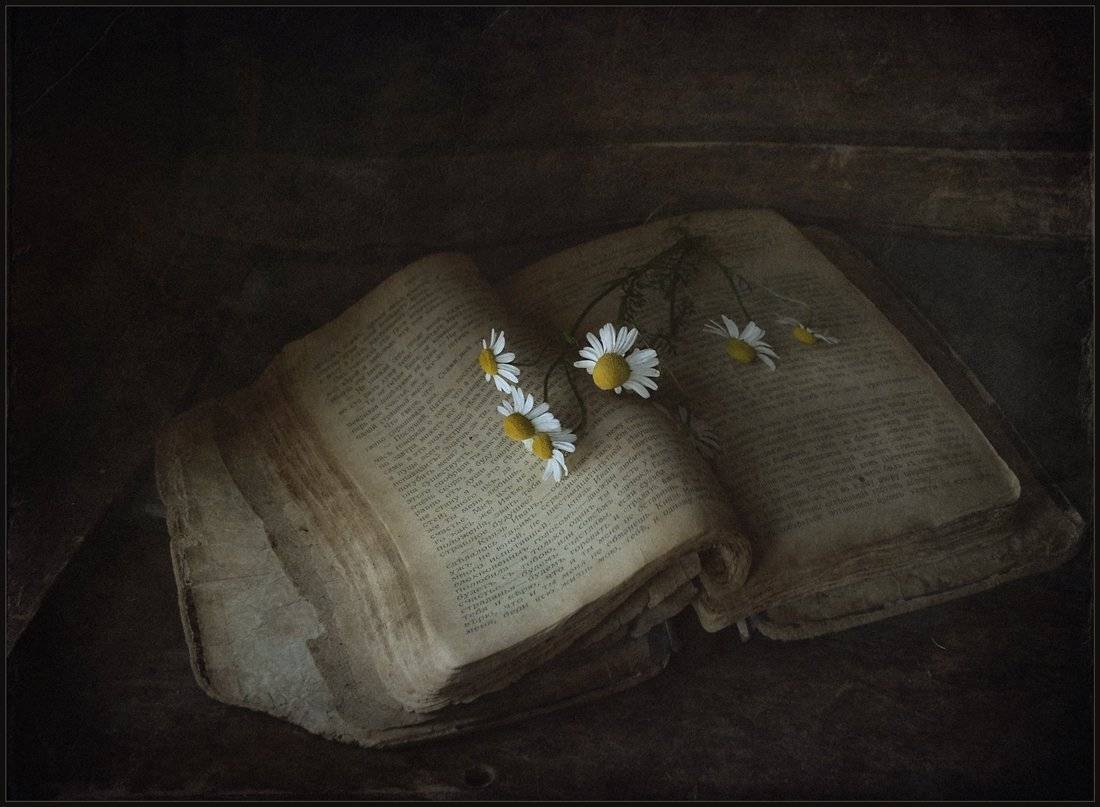 , Александр Хромеев