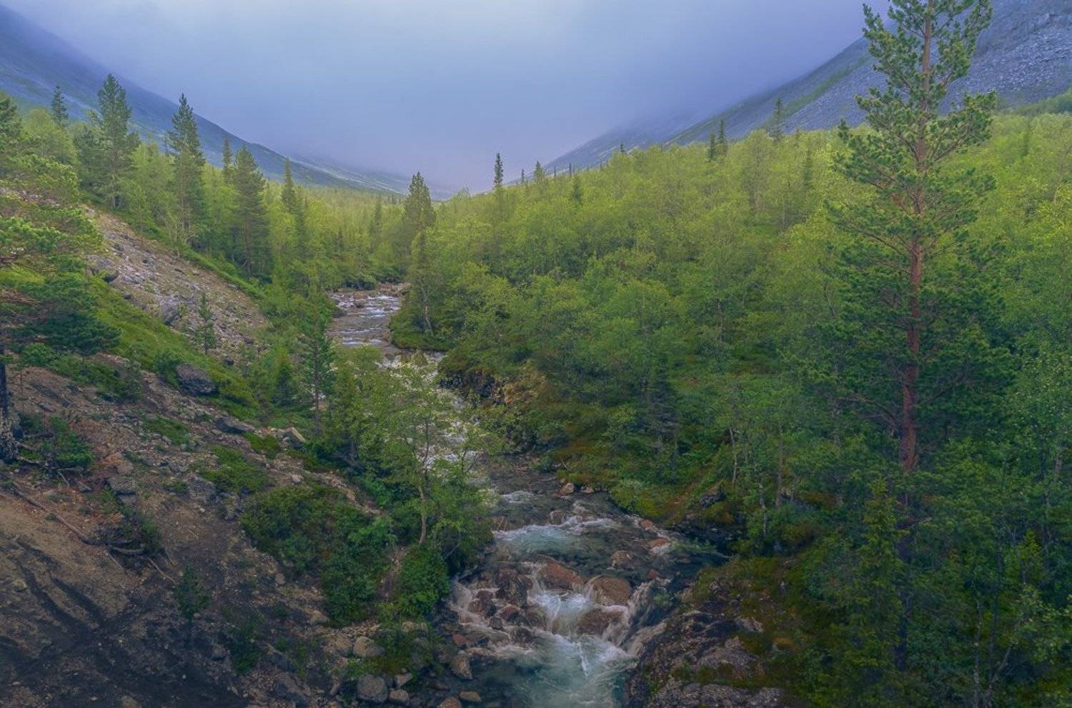 , Светлана Морозова