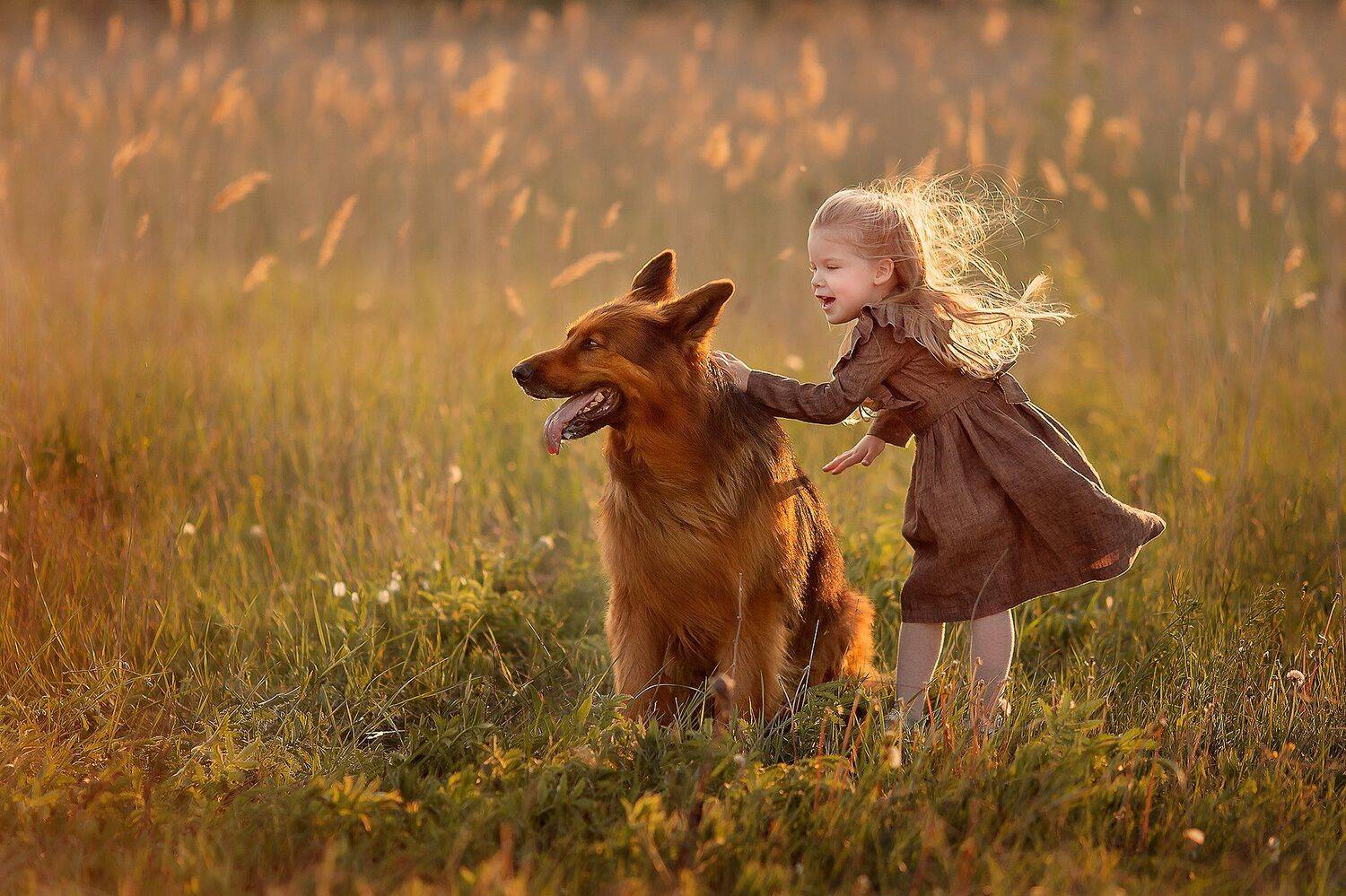 немецкая овчарка девочка ветер закат улыбка радость дружба, Екатерина Белоножкина