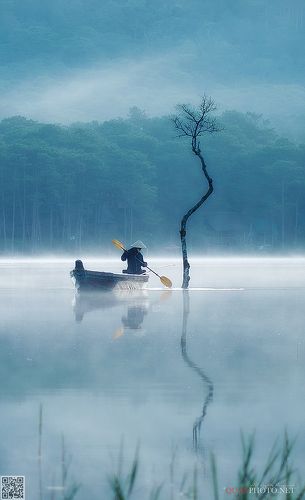 Misty Morning