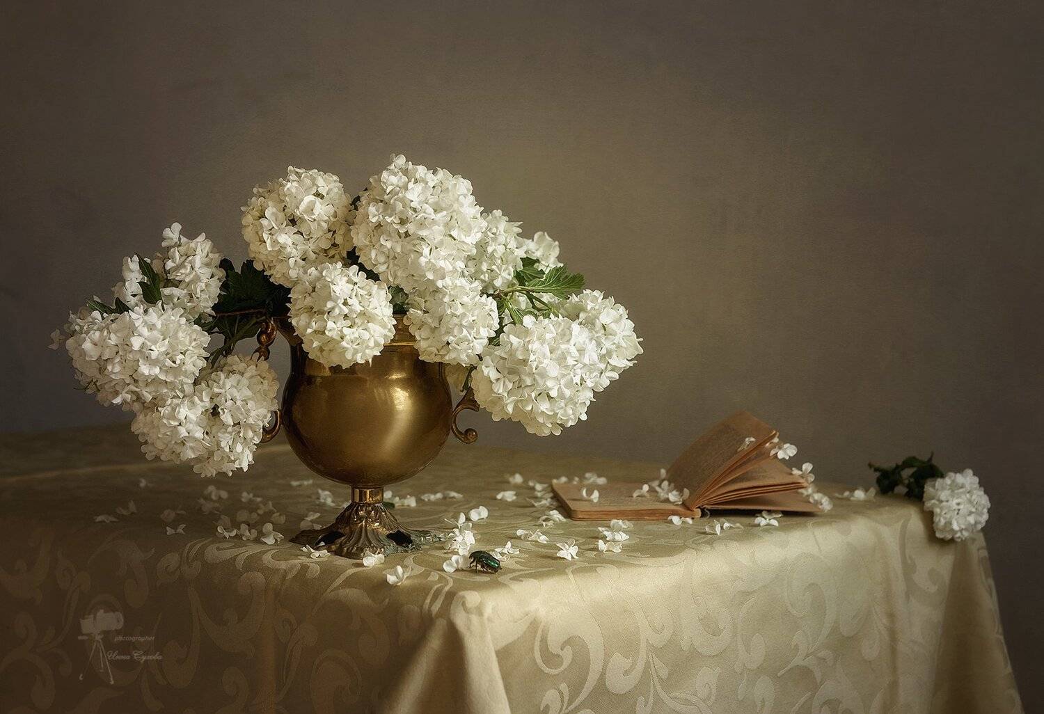 , Инна Сухова