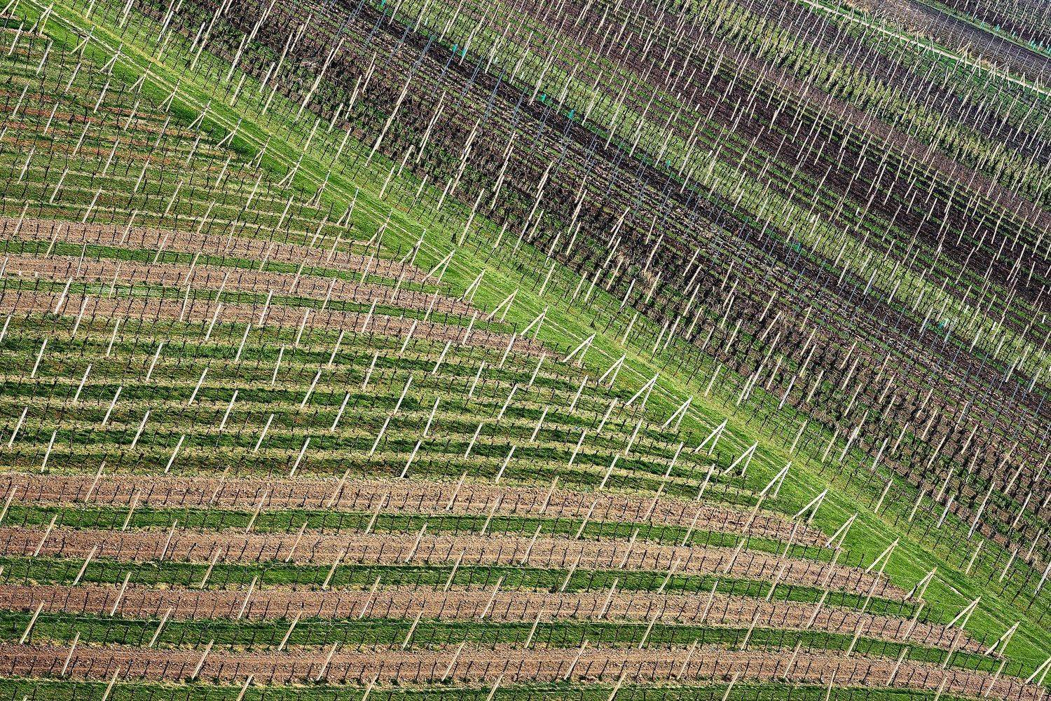 южная моравия, чехия, весна,  south moravia, czech, patterns, Пётр Дедковский