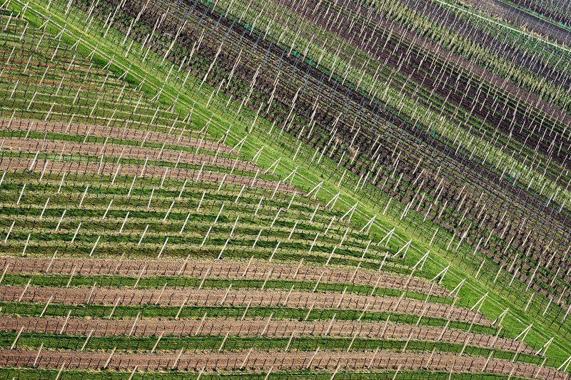 южная моравия, чехия, весна,  south moravia, czech, patterns Паттерны фото превью