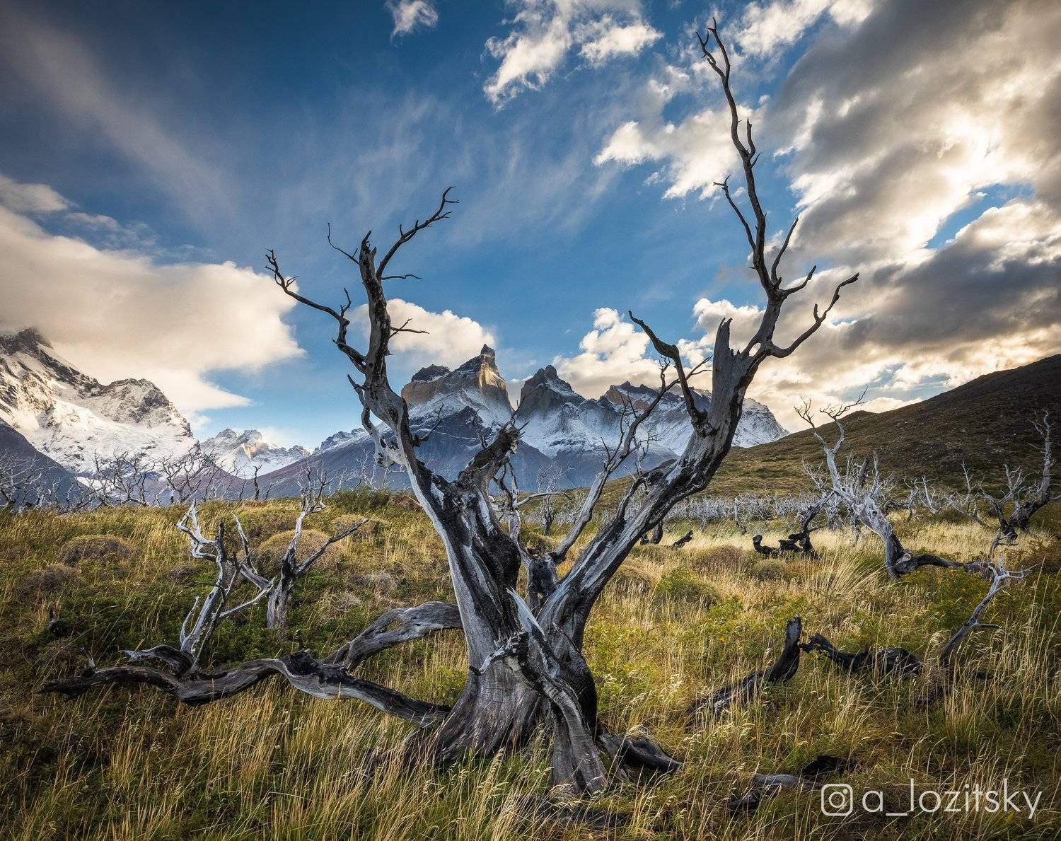 , Александр Лозицкий